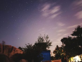 Low angle view of silhouette trees against sky at night