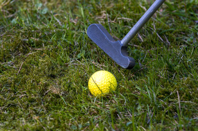 Close-up of ball and gold club on grassy field