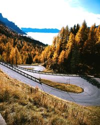 Scenic view of road by trees against sky