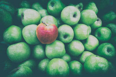 Full frame shot of apples