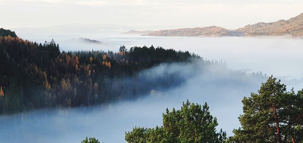 Panoramic view of trees and mountains against sky