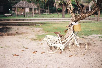 Bicycle parked by tree on field