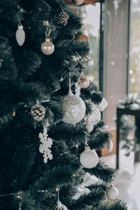 Close-up of christmas tree