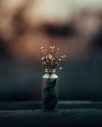 Close-up of flower vase on table