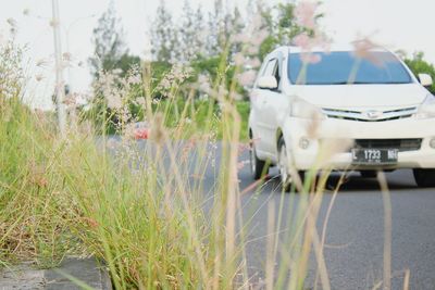 View of car on road