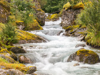 Scenic view of waterfall in forest