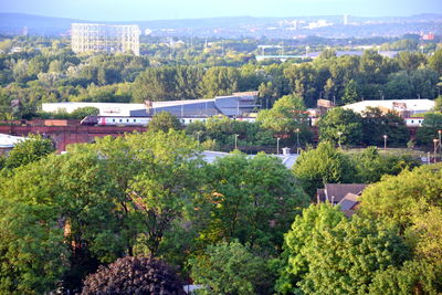 High angle view of trees and plants in city