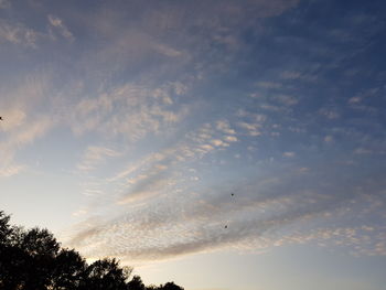 Low angle view of silhouette trees against sky during sunset