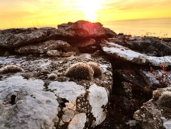 View of rocky shore against sunset