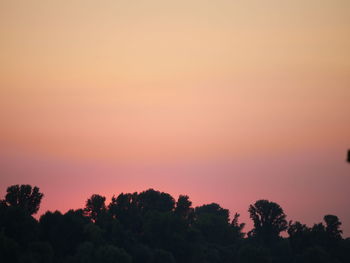 Silhouette trees against orange sky