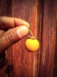 Close-up of hand holding apple