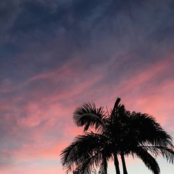 Silhouette of trees against dramatic sky