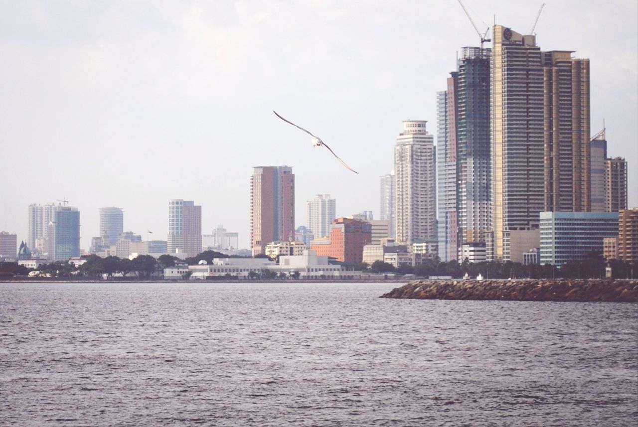 building exterior, waterfront, architecture, city, water, built structure, cityscape, skyscraper, sea, river, clear sky, bird, sky, urban skyline, tall - high, flying, nautical vessel, rippled, crane - construction machinery, tower