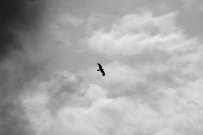 Low angle view of bird flying against cloudy sky