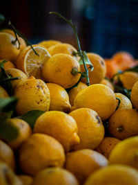 Close-up of oranges