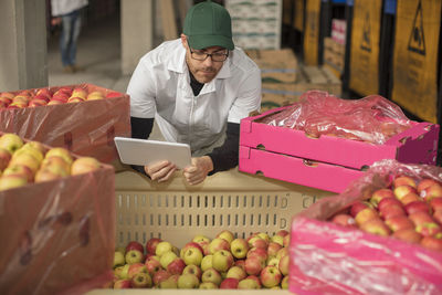 Worker checking apple stock, using tablet