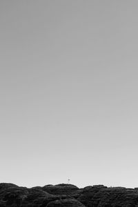 View of tree against clear sky