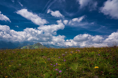 Scenic view of grassy field against cloudy sky