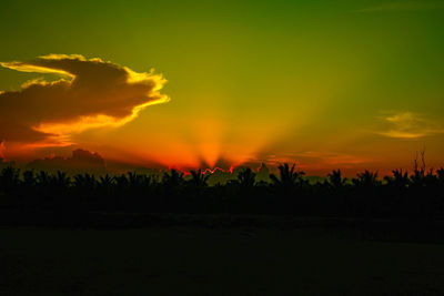 Silhouette trees on field against dramatic sky during sunset