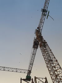 Low angle view of cranes against sky