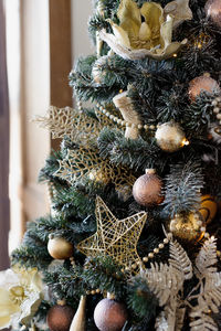 Close-up of christmas tree