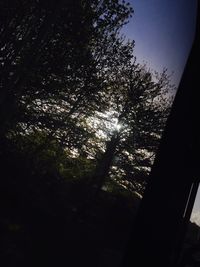 Low angle view of silhouette trees against sky