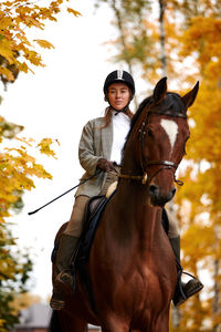 Horse standing outdoors