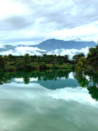 Scenic view of lake by trees against sky