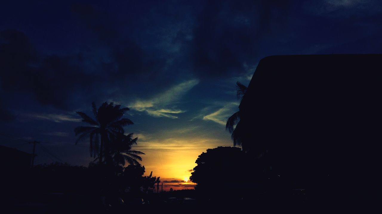 sky, silhouette, cloud - sky, tree, sunset, beauty in nature, scenics - nature, tropical climate, plant, tranquil scene, tranquility, no people, palm tree, nature, outdoors, orange color, idyllic, low angle view, growth, dramatic sky, coconut palm tree