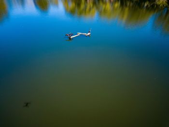 Low angle view of person paragliding in sea