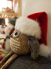 Close-up portrait of stuffed toy at home