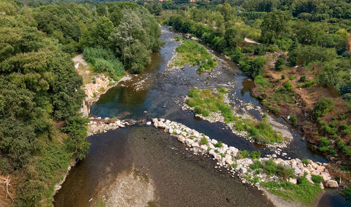 High angle view of river amidst trees in forest