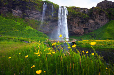 Scenic view of waterfall