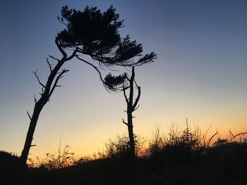 Silhouette trees on field against sky during sunset