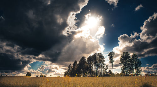 Scenic view of landscape against cloudy sky