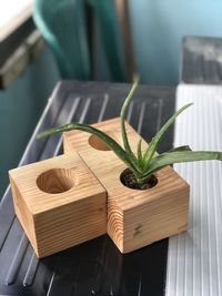 High angle view of potted plant on table