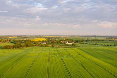 Scenic view of agricultural field against sky