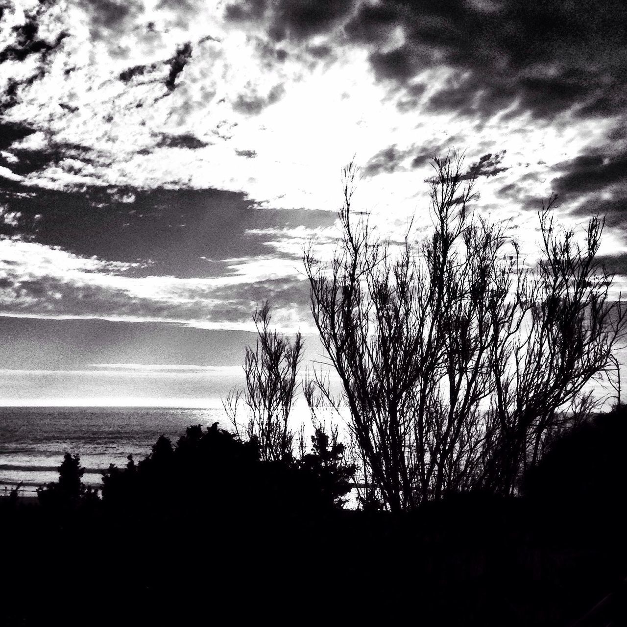 sky, silhouette, tranquility, tranquil scene, cloud - sky, scenics, beauty in nature, sea, water, tree, nature, horizon over water, cloud, cloudy, branch, beach, idyllic, dusk, sunset, outdoors