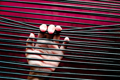 Close-up of bread in plate