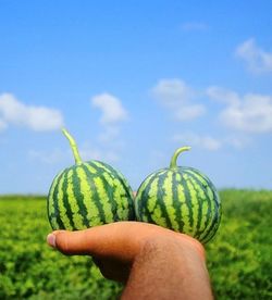 Midsection of man holding apple against sky