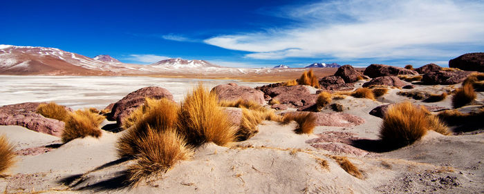 Scenic view of desert against sky