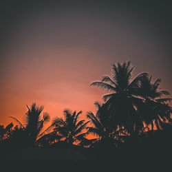 Low angle view of silhouette palm trees against romantic sky