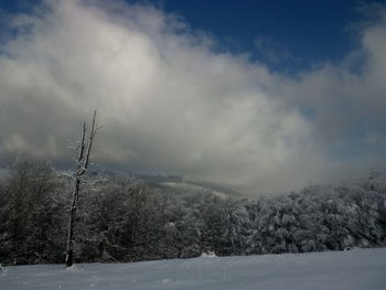 Scenic view of snow covered field against sky