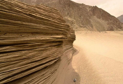 Scenic view of landscape