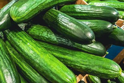 Juicy fresh cucumbers. selling juicy green vegetables in the supermarket. 