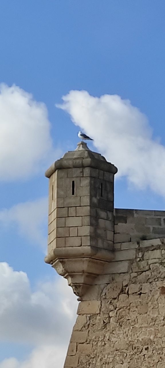 LOW ANGLE VIEW OF HISTORICAL BUILDING AGAINST CLOUDY SKY