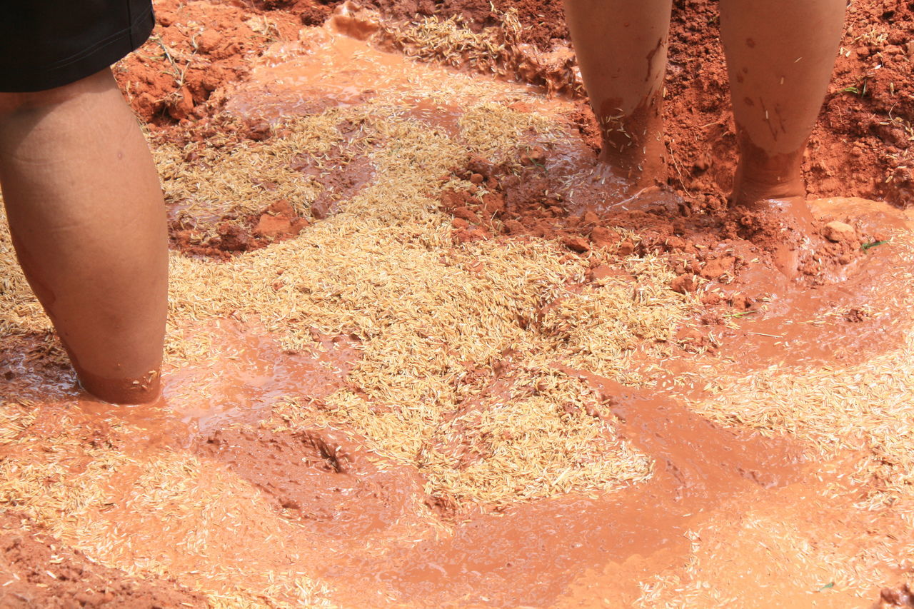 LOW SECTION OF PERSON WALKING IN MUD