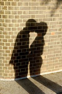 Shadow of man on brick wall