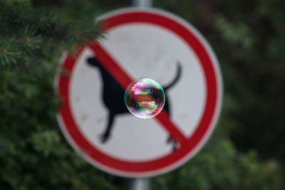 Close-up of bubbles in mid-air