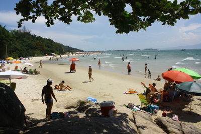 Group of people on beach